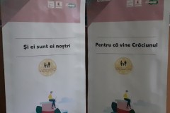 Programul Start ONG_Roll-Up-urile celor doua proiecte